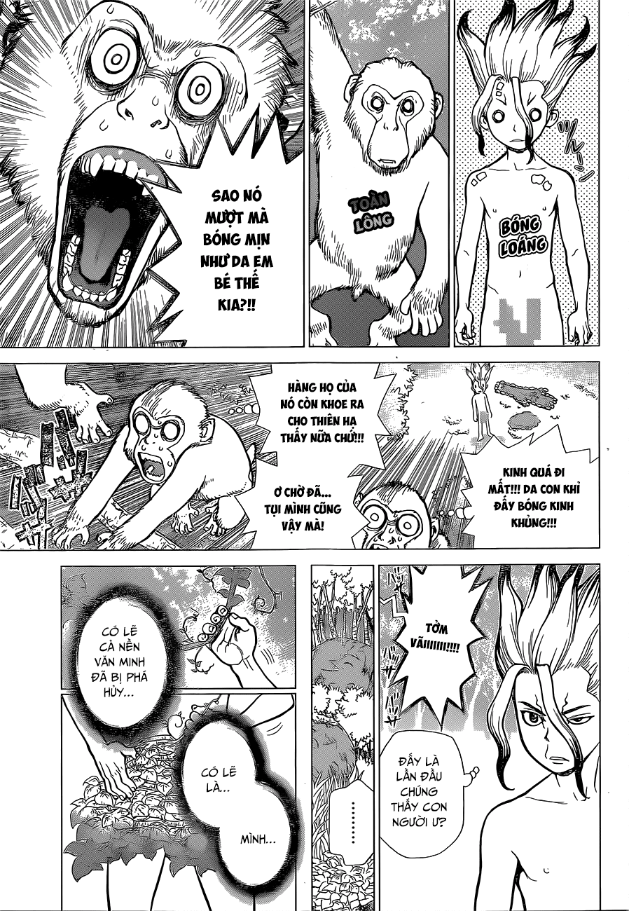 Dr.stone Chapter 13 - 6