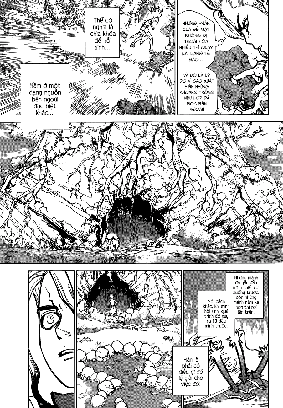 Dr.stone Chapter 14 - 8