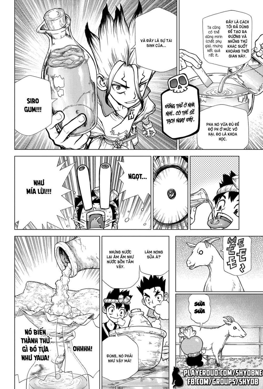 Dr.stone Chapter 145 - 8