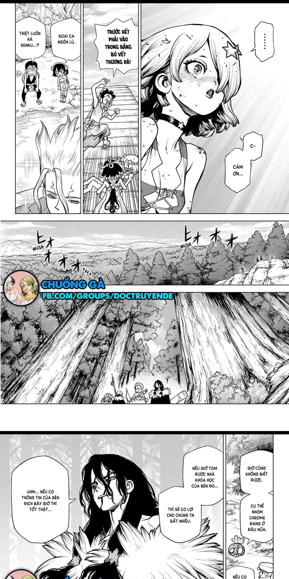 Dr.stone Chapter 154 - 13