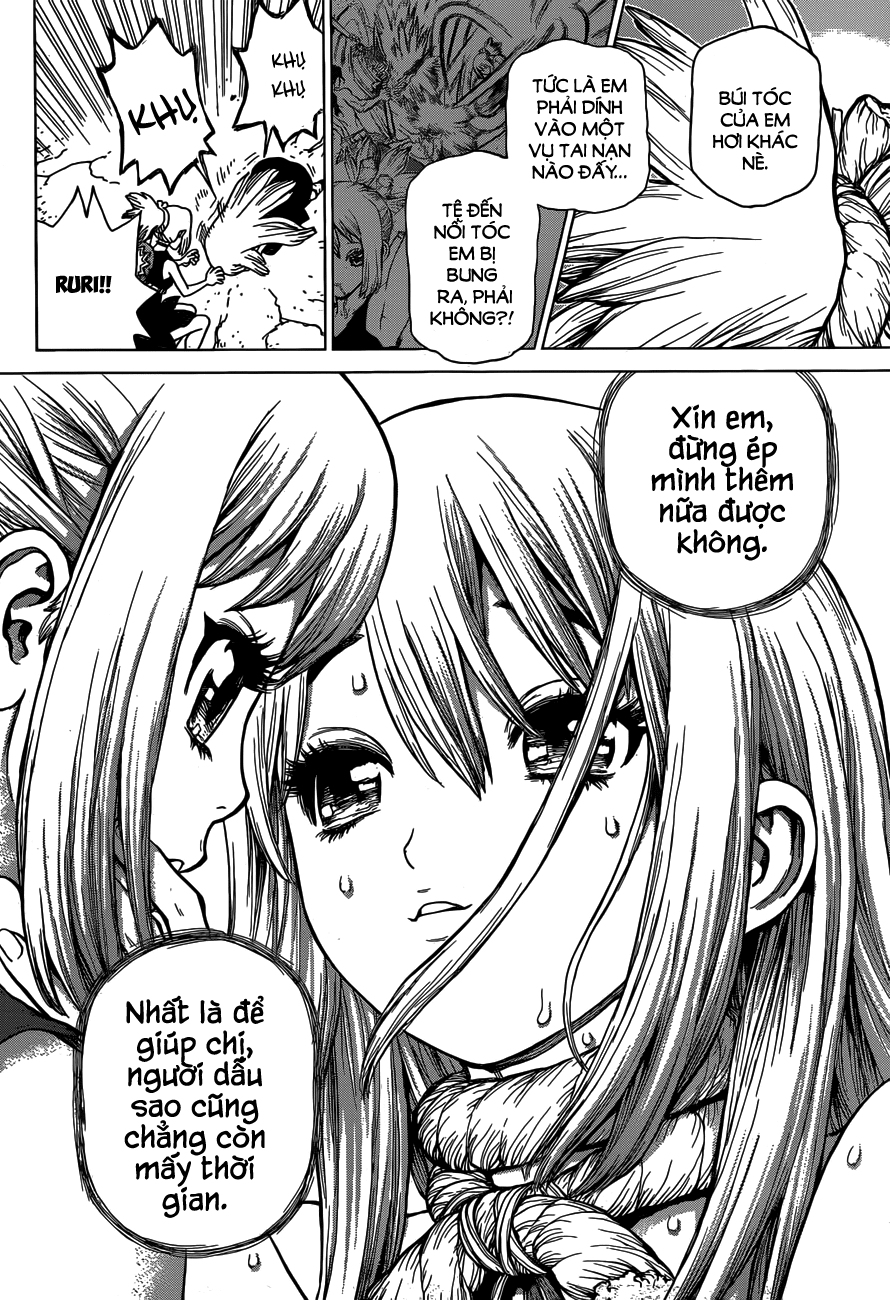 Dr.stone Chapter 19 - 12