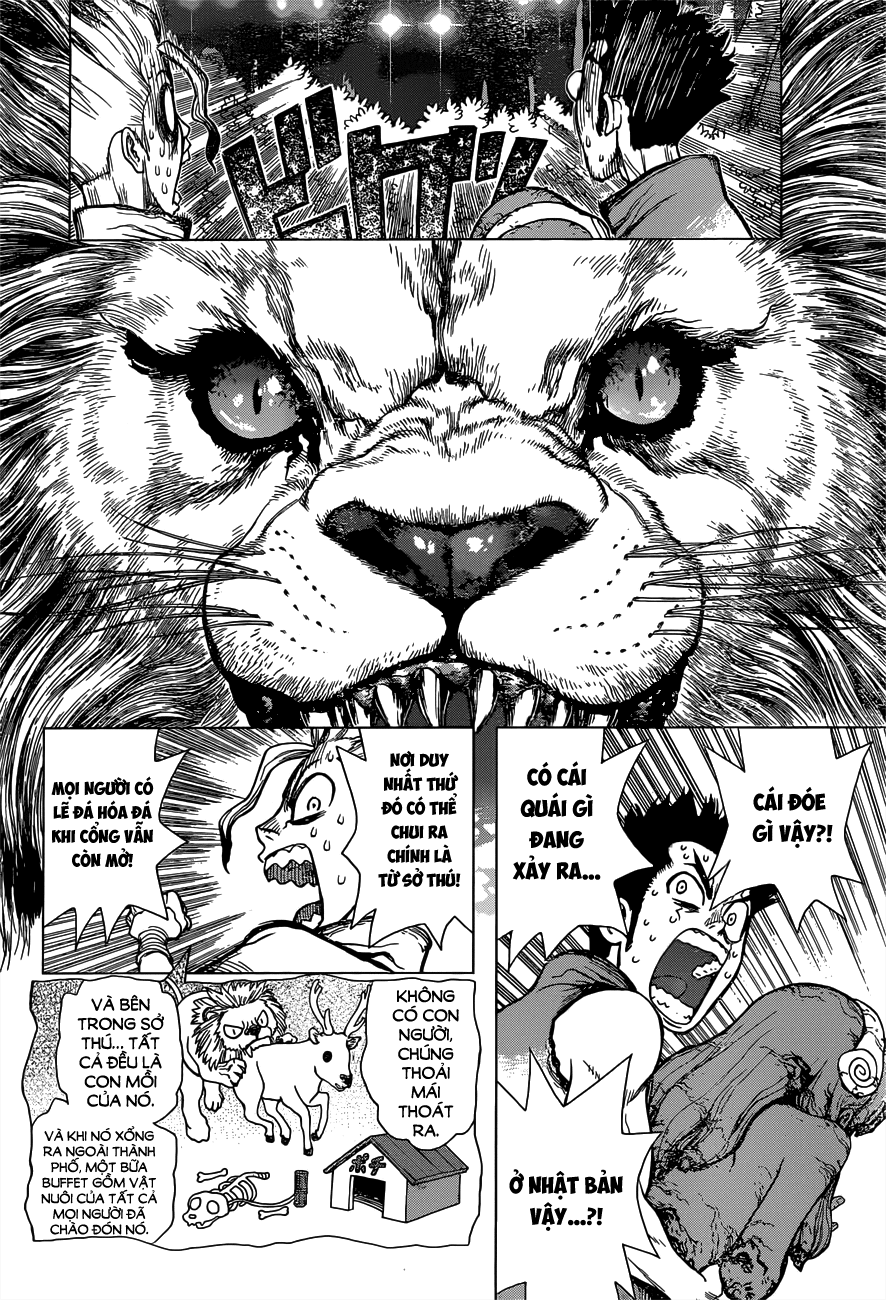 Dr.stone Chapter 3 - 8