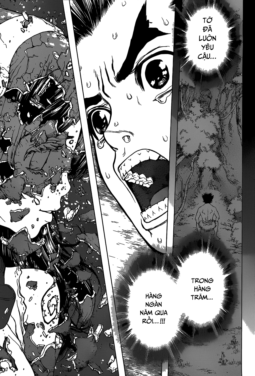 Dr.stone Chapter 5 - 15