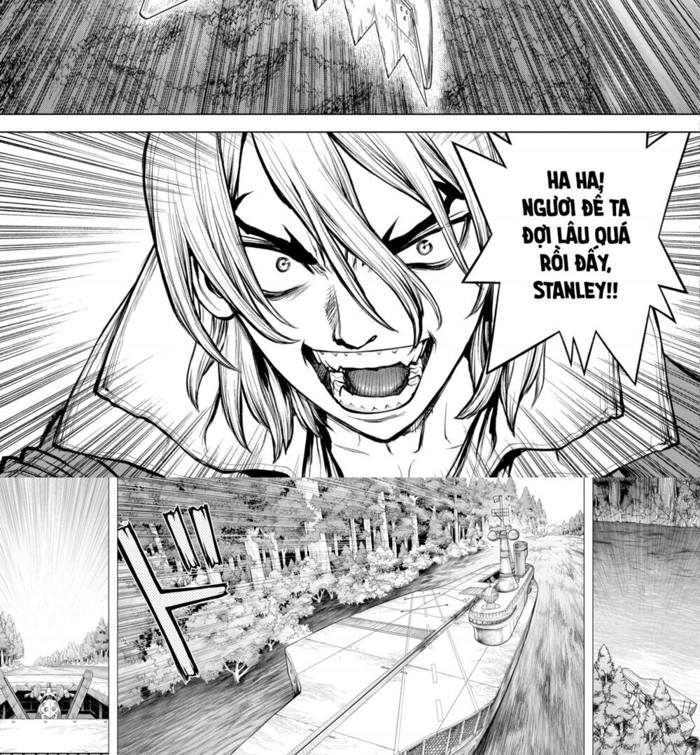 Dr.stone Chapter 163 - 13