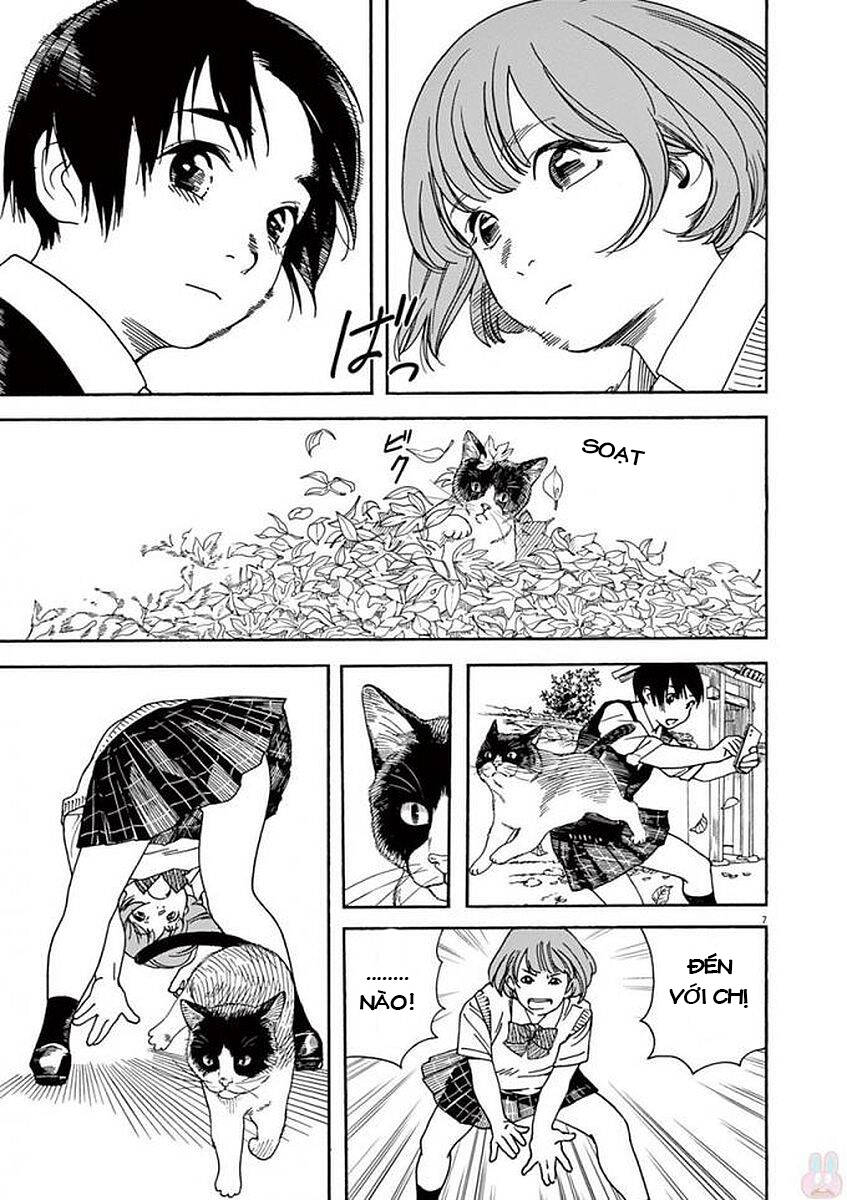 Neko No Otera No Chion-San Chapter 49 - 9