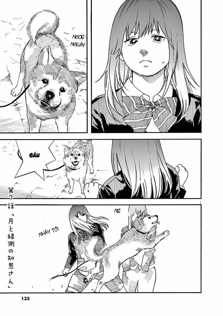 Neko No Otera No Chion-San Chapter 7 - 1