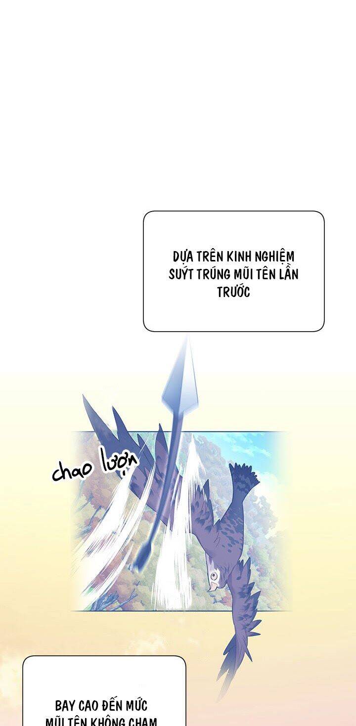 Công Chúa Của Loài Chim Chapter 15 - 49