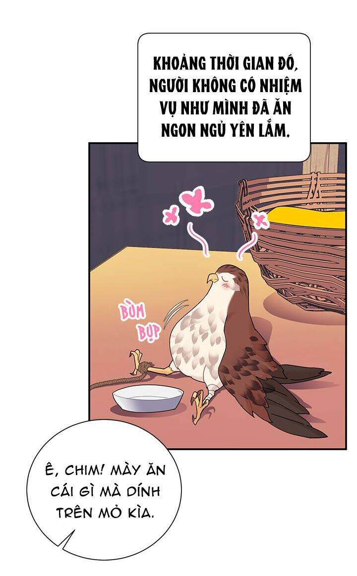 Công Chúa Của Loài Chim Chapter 19 - 36