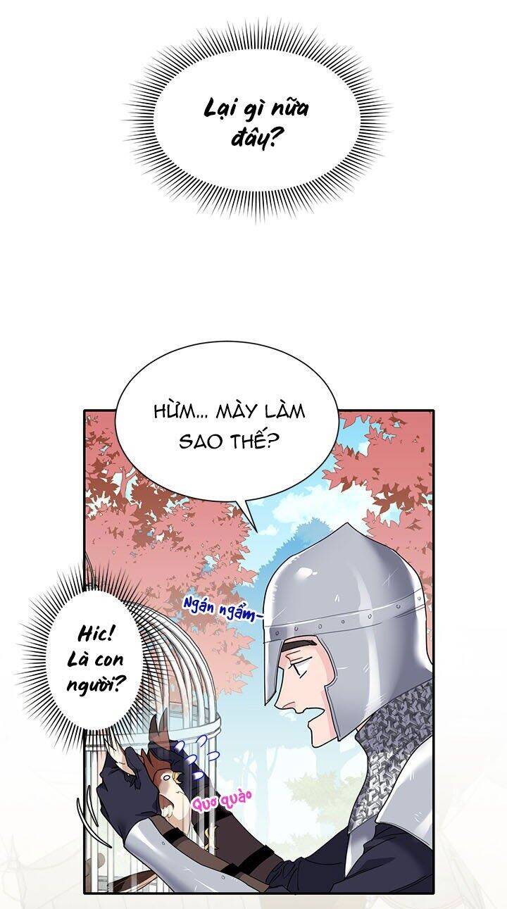 Công Chúa Của Loài Chim Chapter 2 - 13