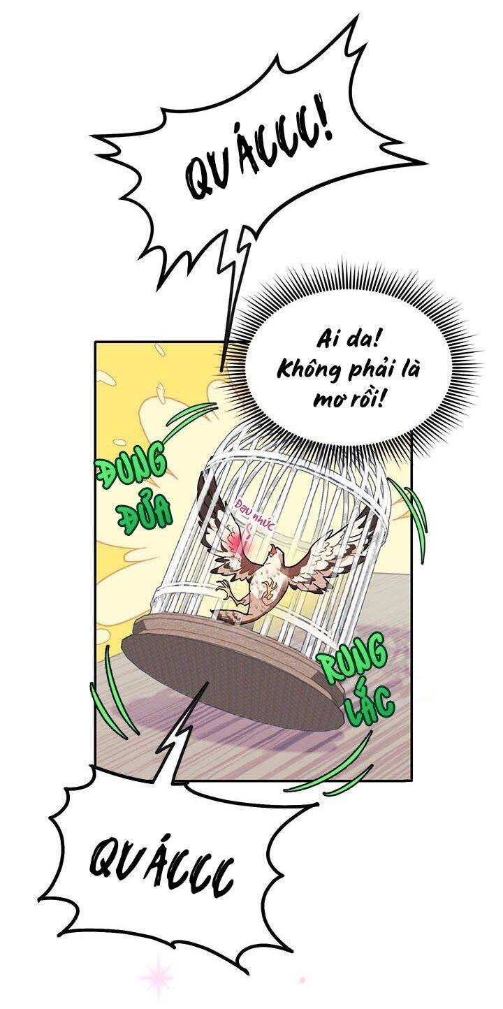 Công Chúa Của Loài Chim Chapter 2 - 7