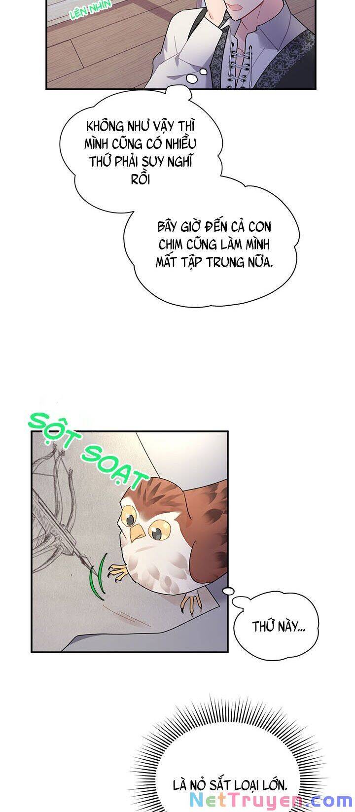 Công Chúa Của Loài Chim Chapter 21 - 5