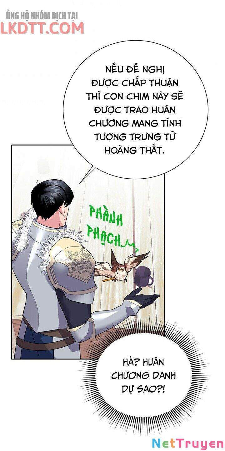 Công Chúa Của Loài Chim Chapter 34 - 35