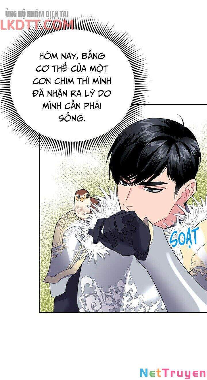 Công Chúa Của Loài Chim Chapter 34 - 64