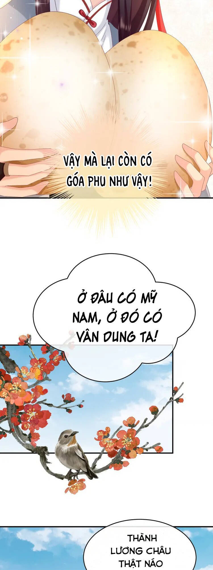 Kiều Phu Có Hỉ Chapter 61 - Trang 3