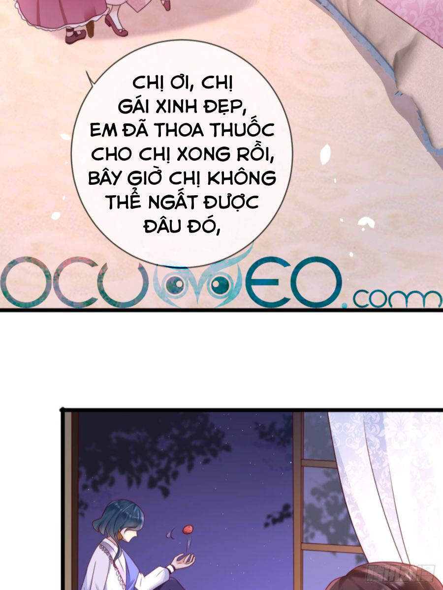 Trò Chơi Trọng Sinh: Hoàng Tử Khó Chiều Chapter 19 - Trang 3