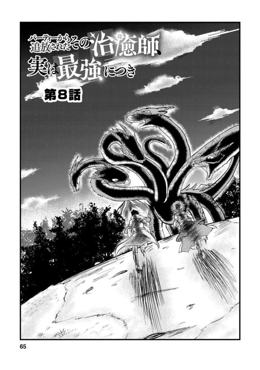 Party Kara Tsuihou Sareta Sono Chiyushi, Jitsu Wa Saikyou Nitsuki Chapter 8 - 6