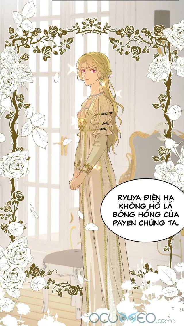 Sổ Tay Nuôi Dưỡng Rồng Chapter 4 - 19