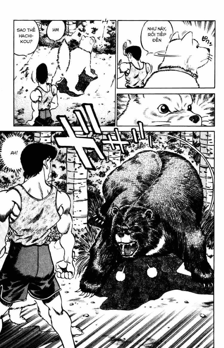 Võ Sĩ Quyền Anh Ippo Chapter 229 - 17