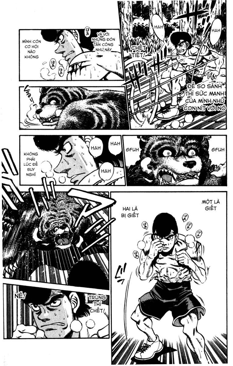 Võ Sĩ Quyền Anh Ippo Chapter 230 - 5