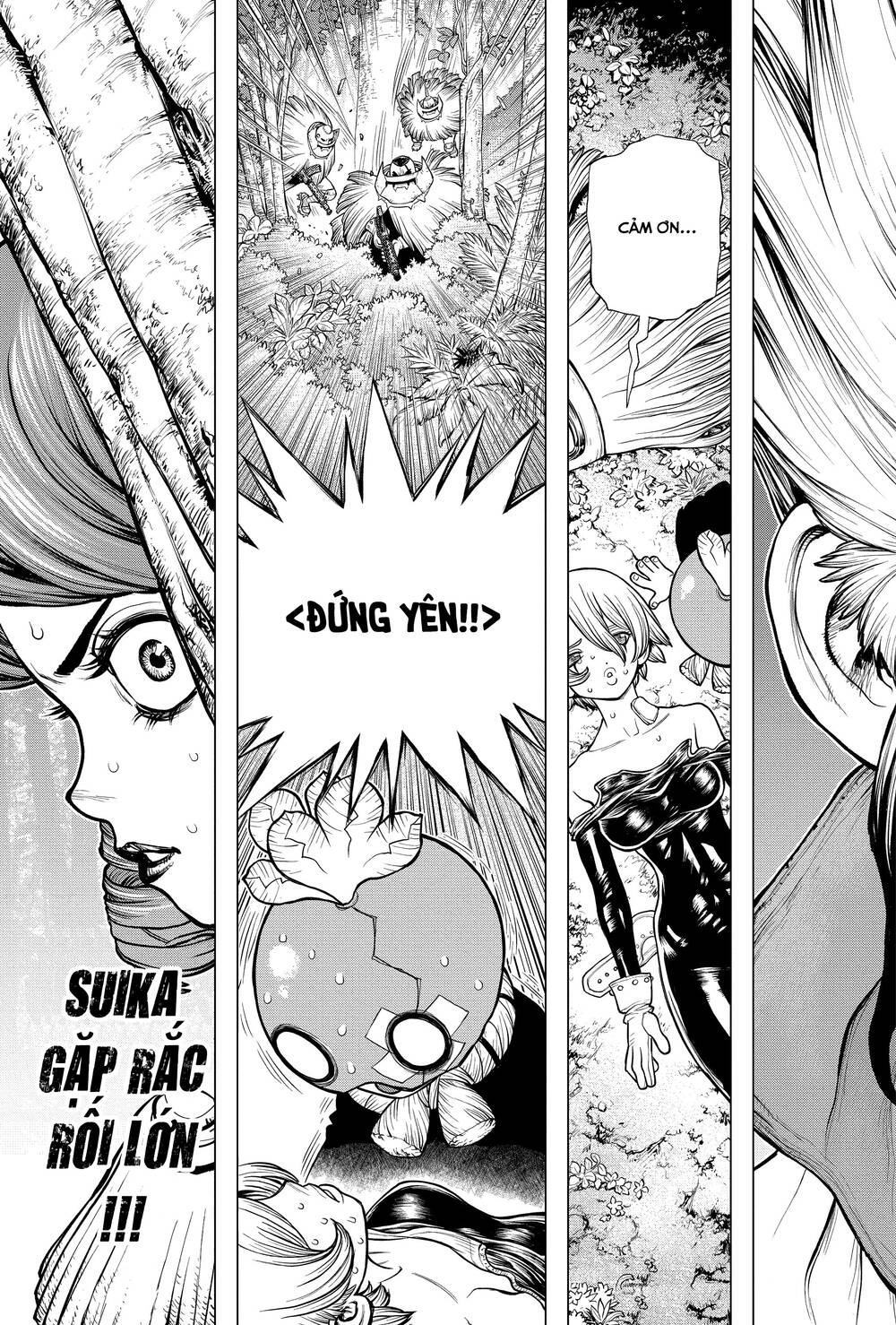 Dr.stone Chapter 185 - 22