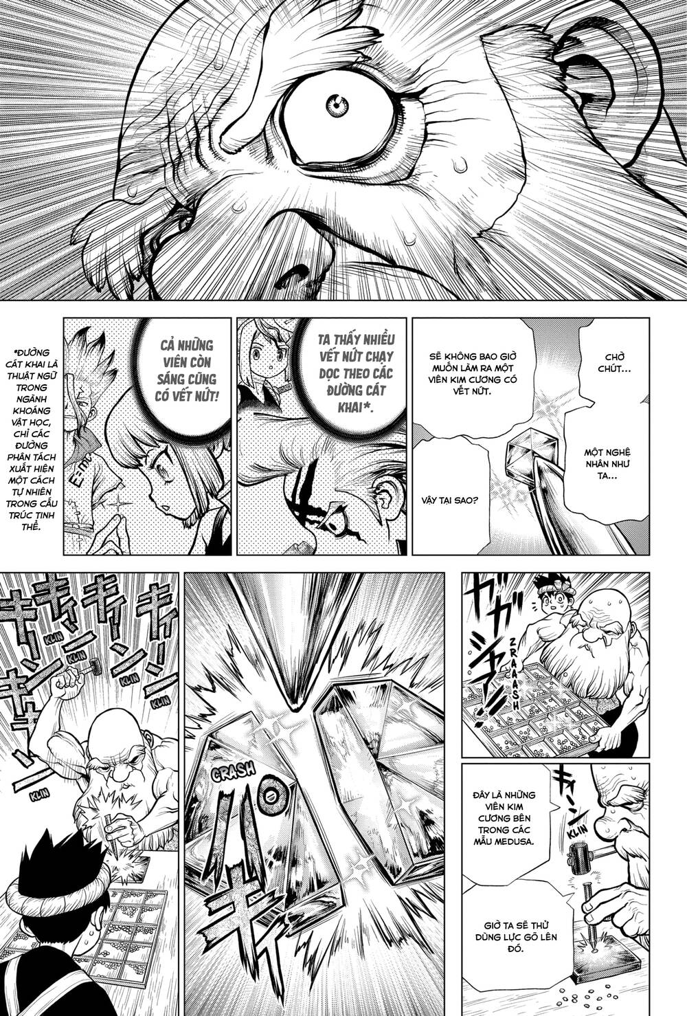 Dr.stone Chapter 185 - 10