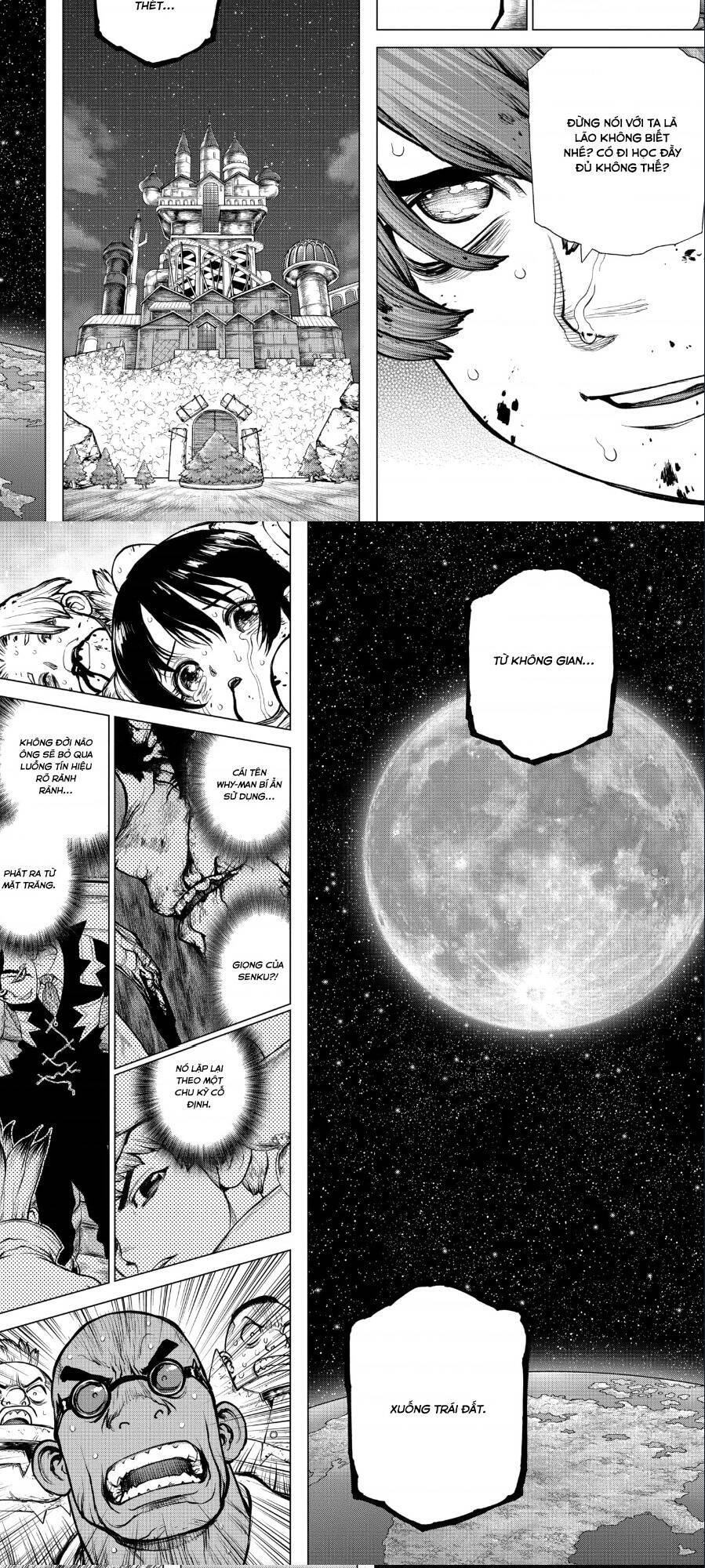 Dr.stone Chapter 191 - 12