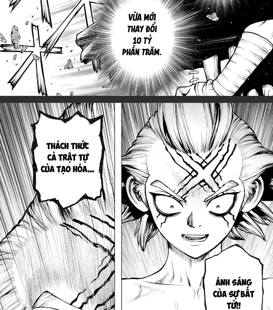 Dr.stone Chapter 198 - 8