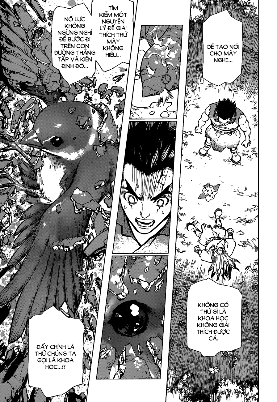 Dr.stone Chapter 2 - 22