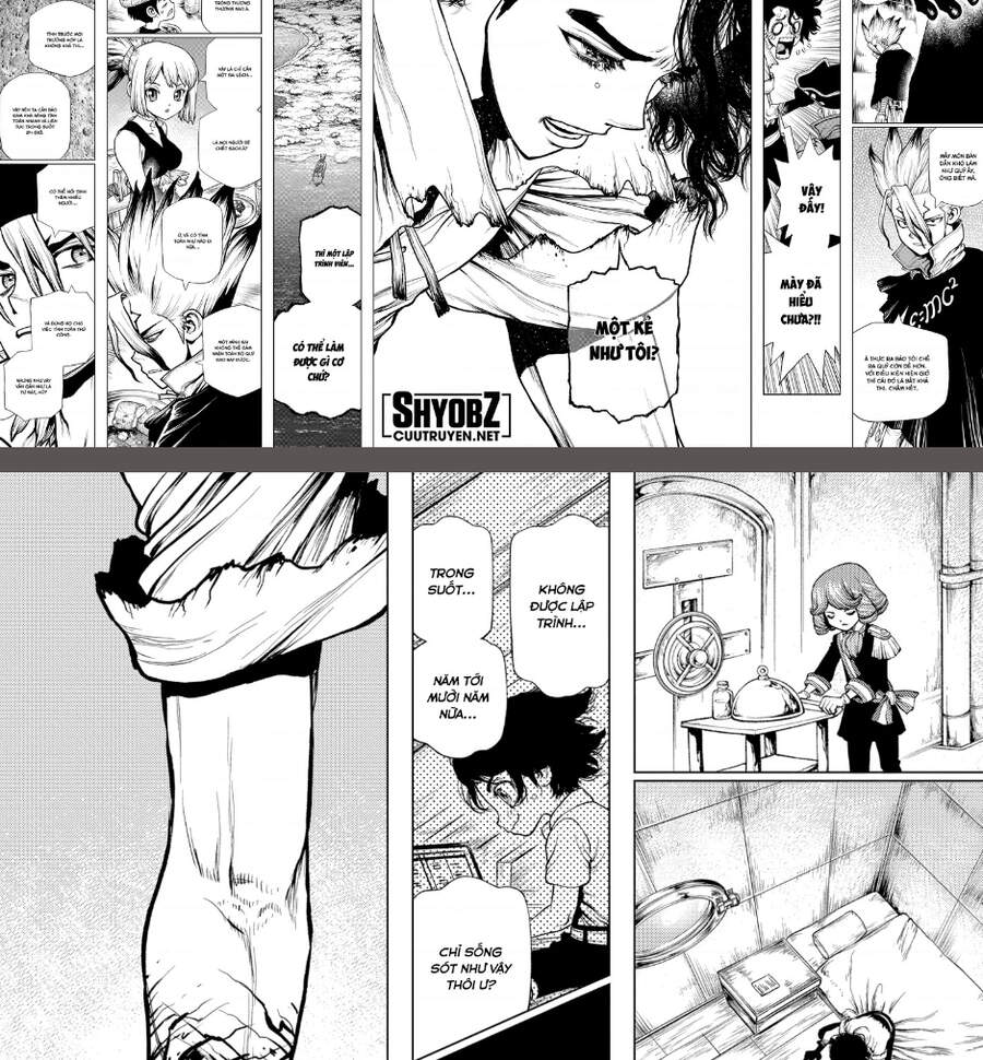 Dr.stone Chapter 205 - 14