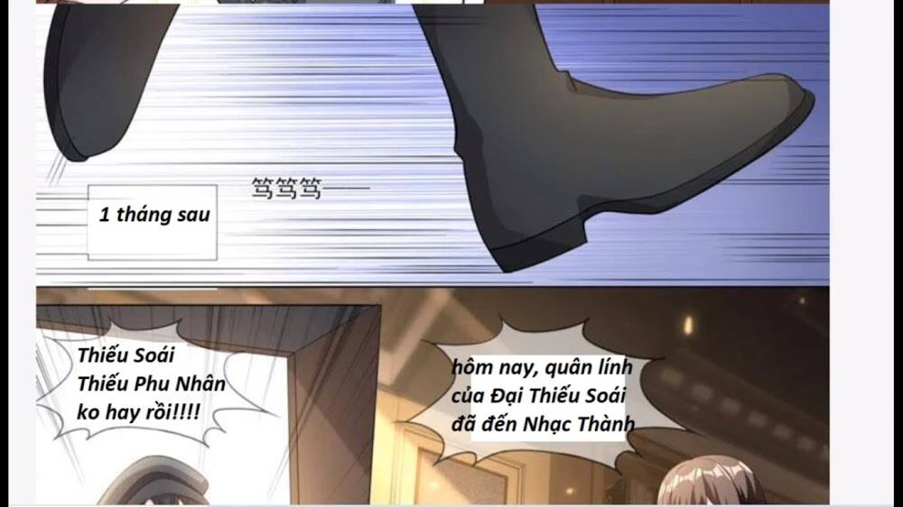 Thiếu Soái! Vợ Ngài Lại Bỏ Trốn Chapter 333 - 12