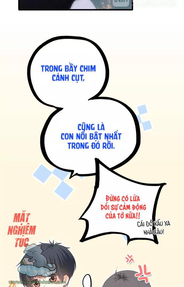 Con Tim Rung Động Chapter 67 - 88