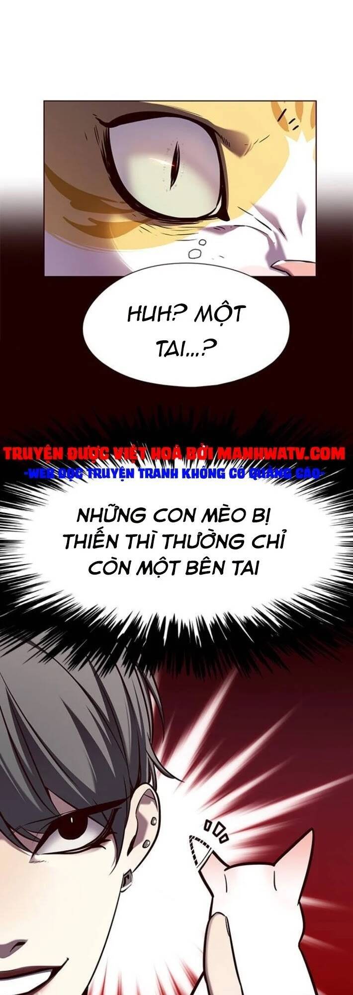 Hoá Thân Thành Mèo Chapter 141 - 68