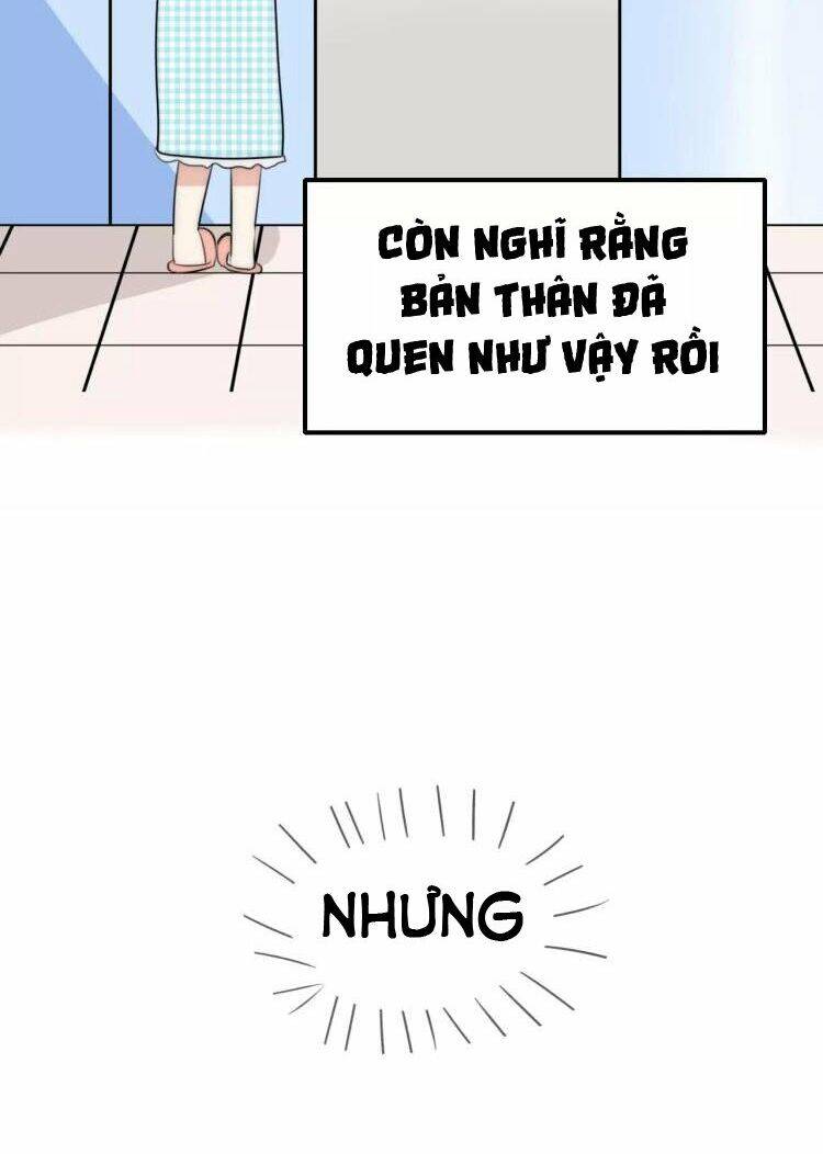 Tiểu Miêu Và Hắc Diệu Thạch Chapter 11 - Trang 3