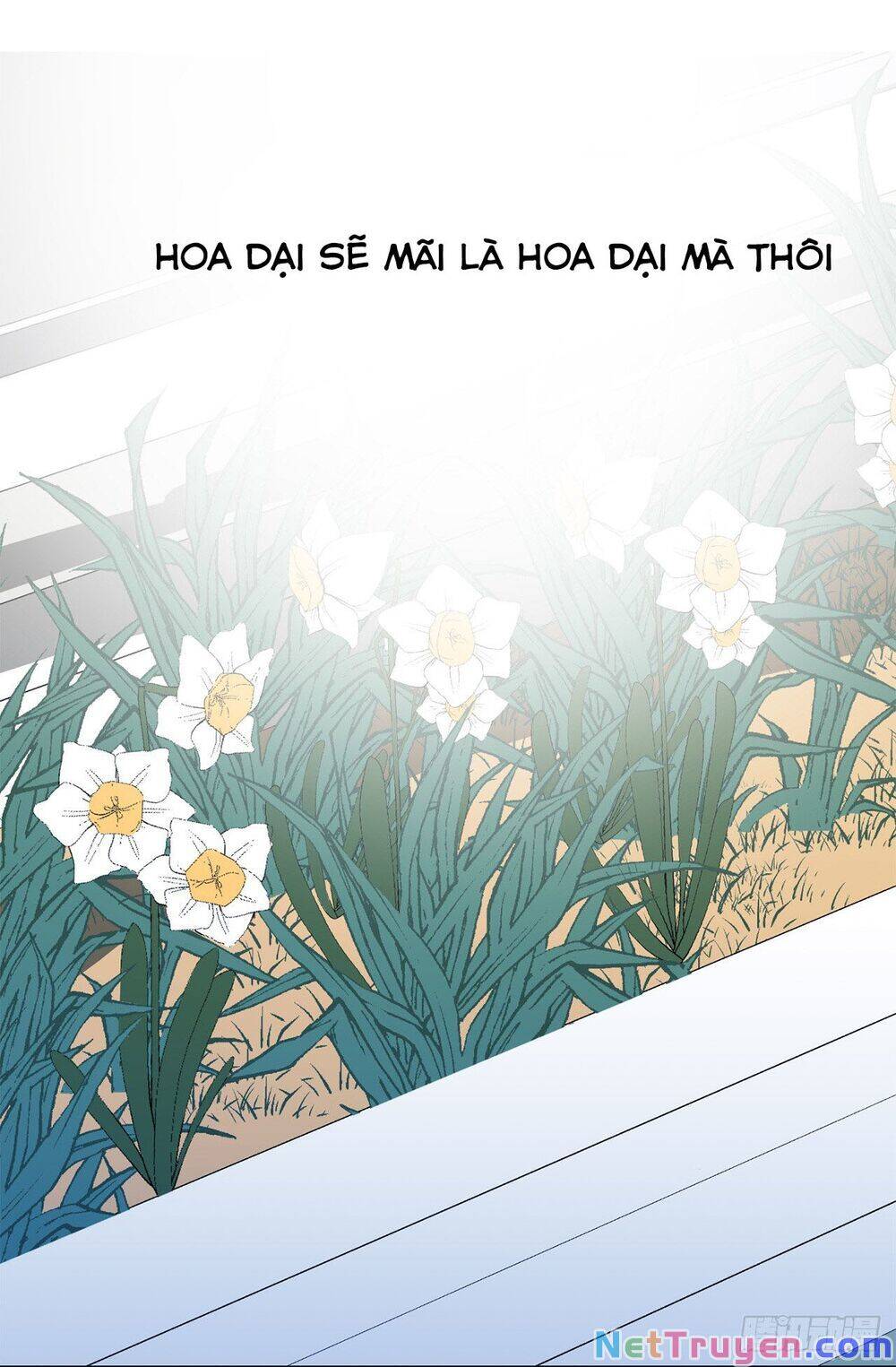 Acup Tiên Sinh Chapter 37 - 19