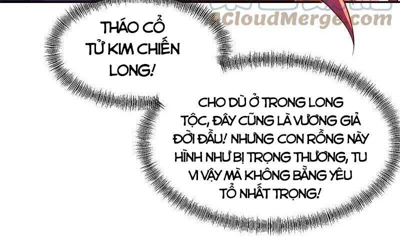 Chiến Hồn Tuyệt Thế Chapter 387 - 46