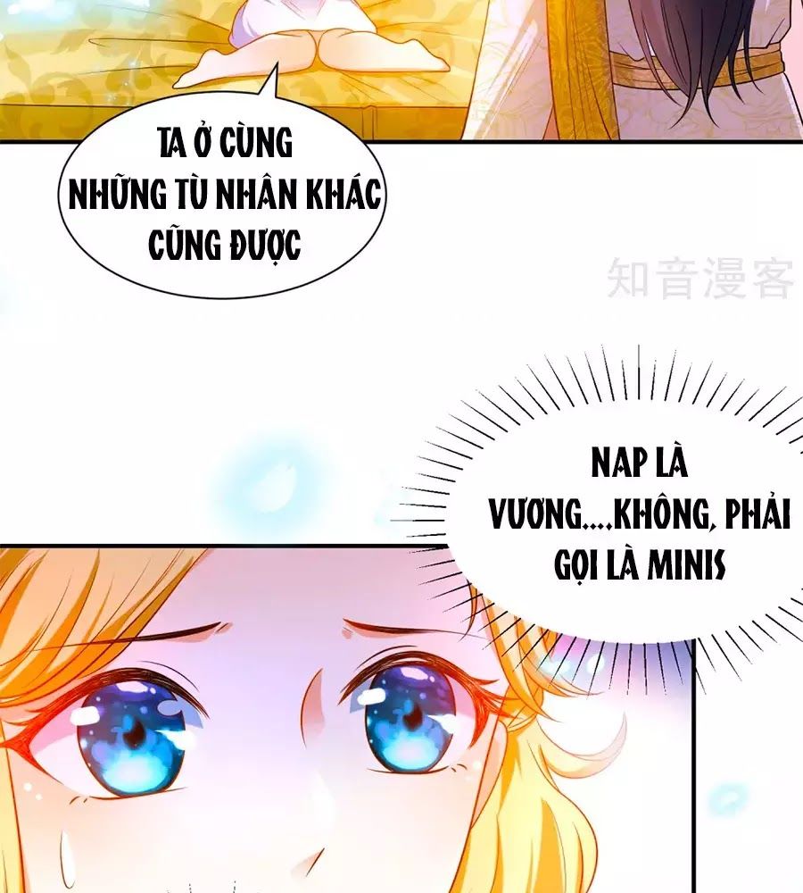 Sủng Hậu Của Vương Chapter 8 - 5