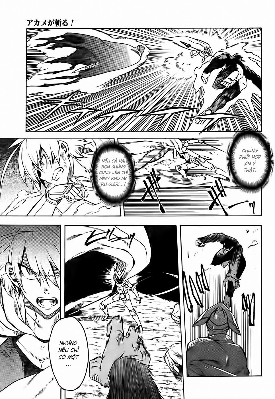 Akame Ga Kiru Chapter 31 - 24