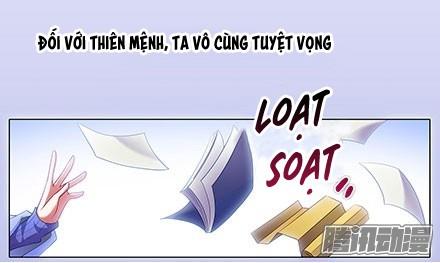 Đầu Óc Đại Sư Huynh Của Ta Rất Đen Tối Chapter 130 - 6