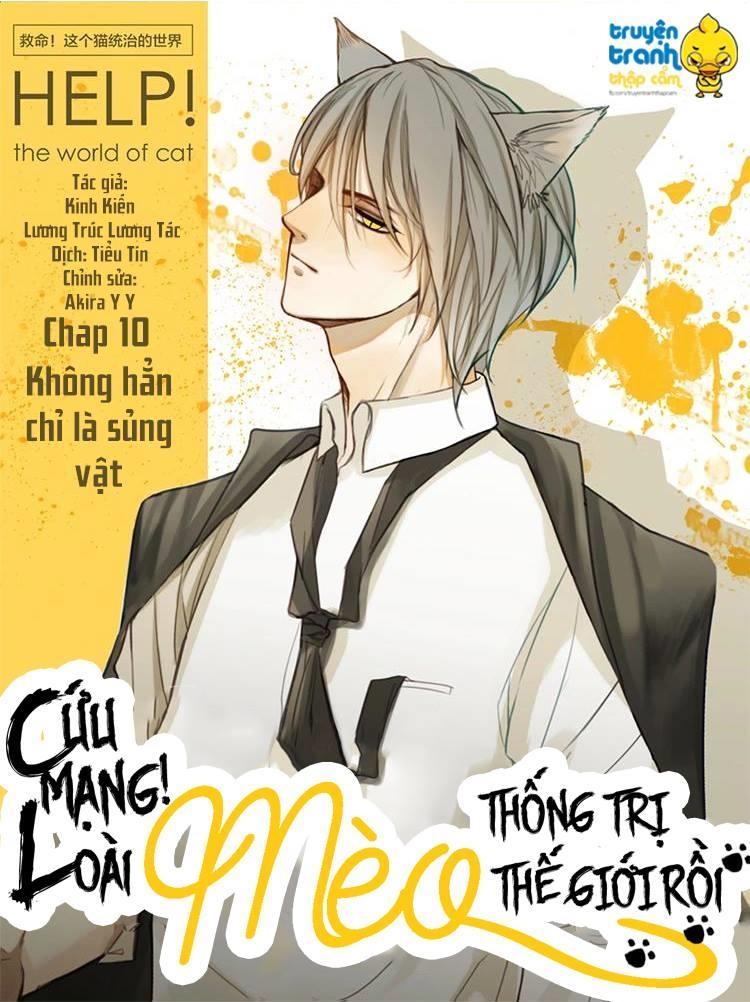 Cứu Mạng! Loài Mèo Thống Trị Thế Giới Rồi! Chapter 11 - 2