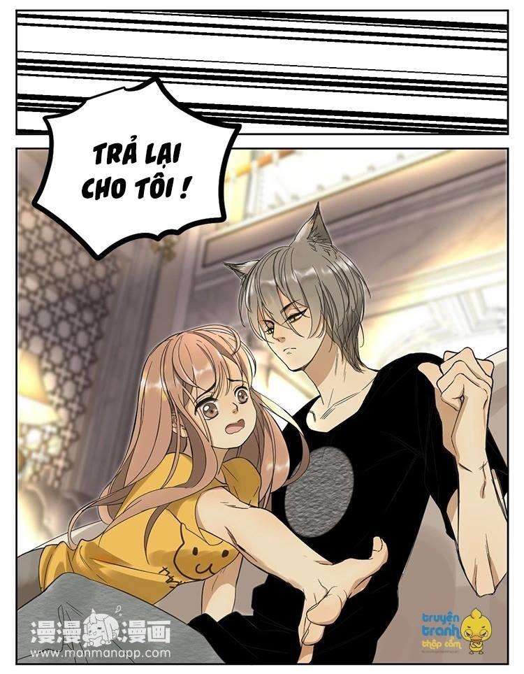 Cứu Mạng! Loài Mèo Thống Trị Thế Giới Rồi! Chapter 11 - 7