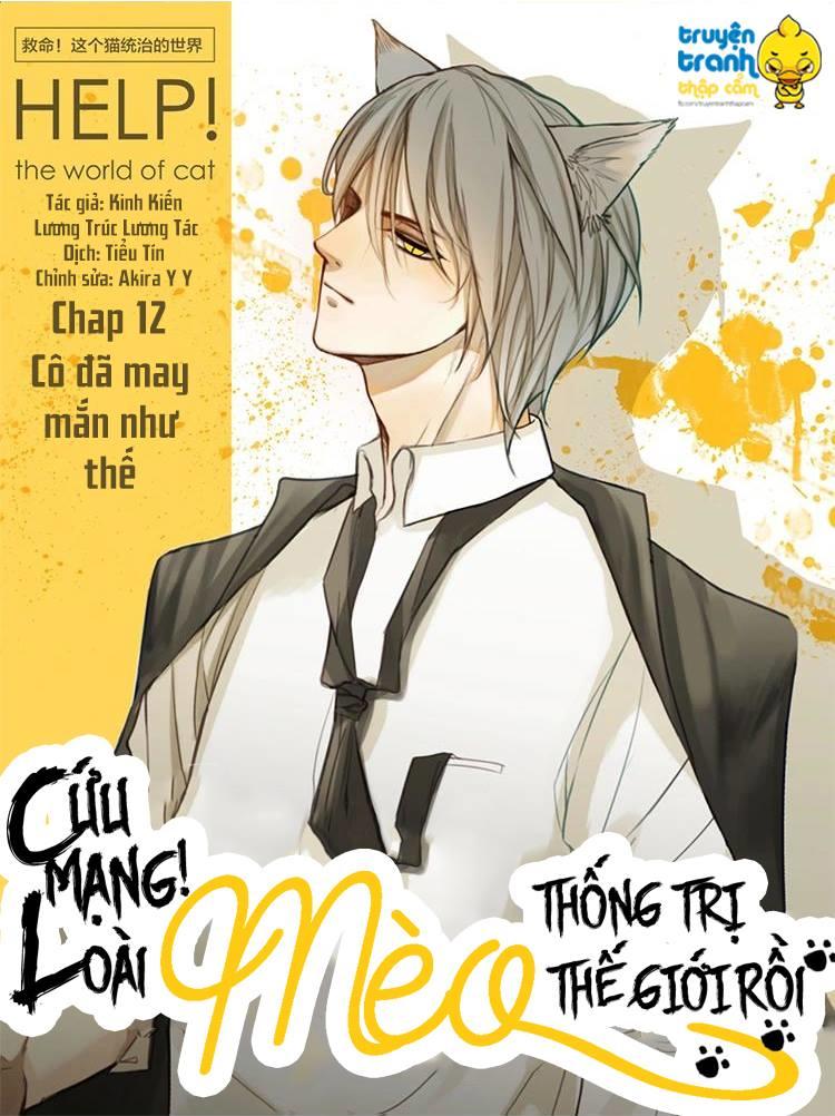 Cứu Mạng! Loài Mèo Thống Trị Thế Giới Rồi! Chapter 12 - 2