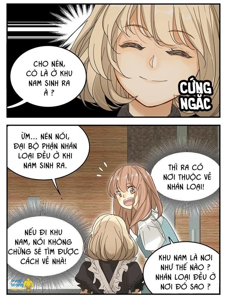 Cứu Mạng! Loài Mèo Thống Trị Thế Giới Rồi! Chapter 12 - 4