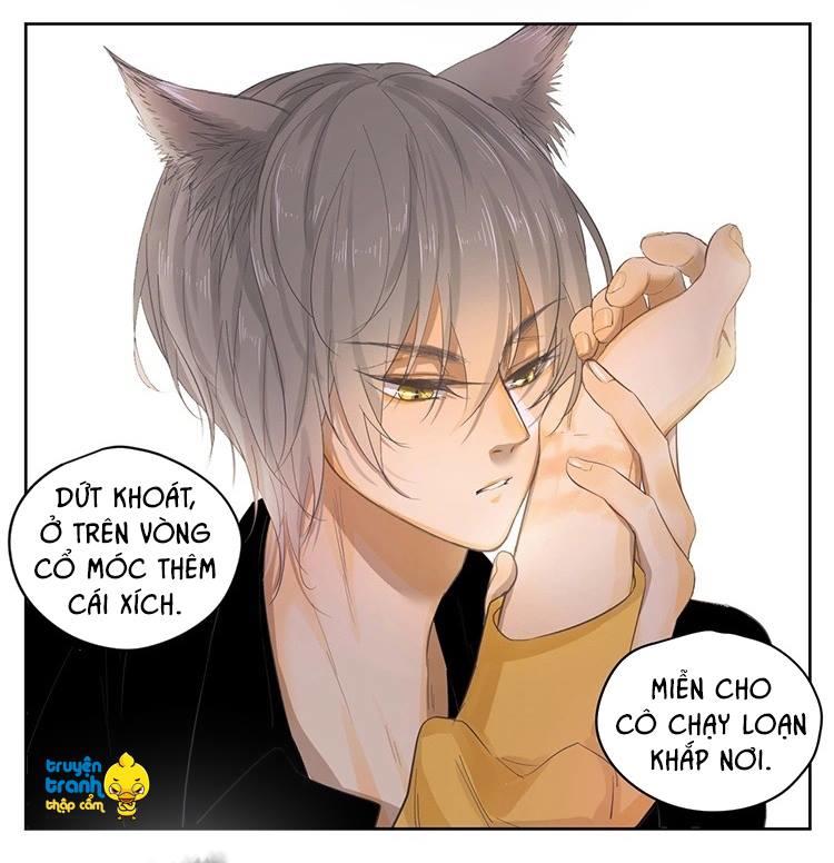 Cứu Mạng! Loài Mèo Thống Trị Thế Giới Rồi! Chapter 21 - 15