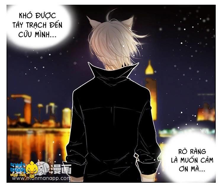 Cứu Mạng! Loài Mèo Thống Trị Thế Giới Rồi! Chapter 21 - 20