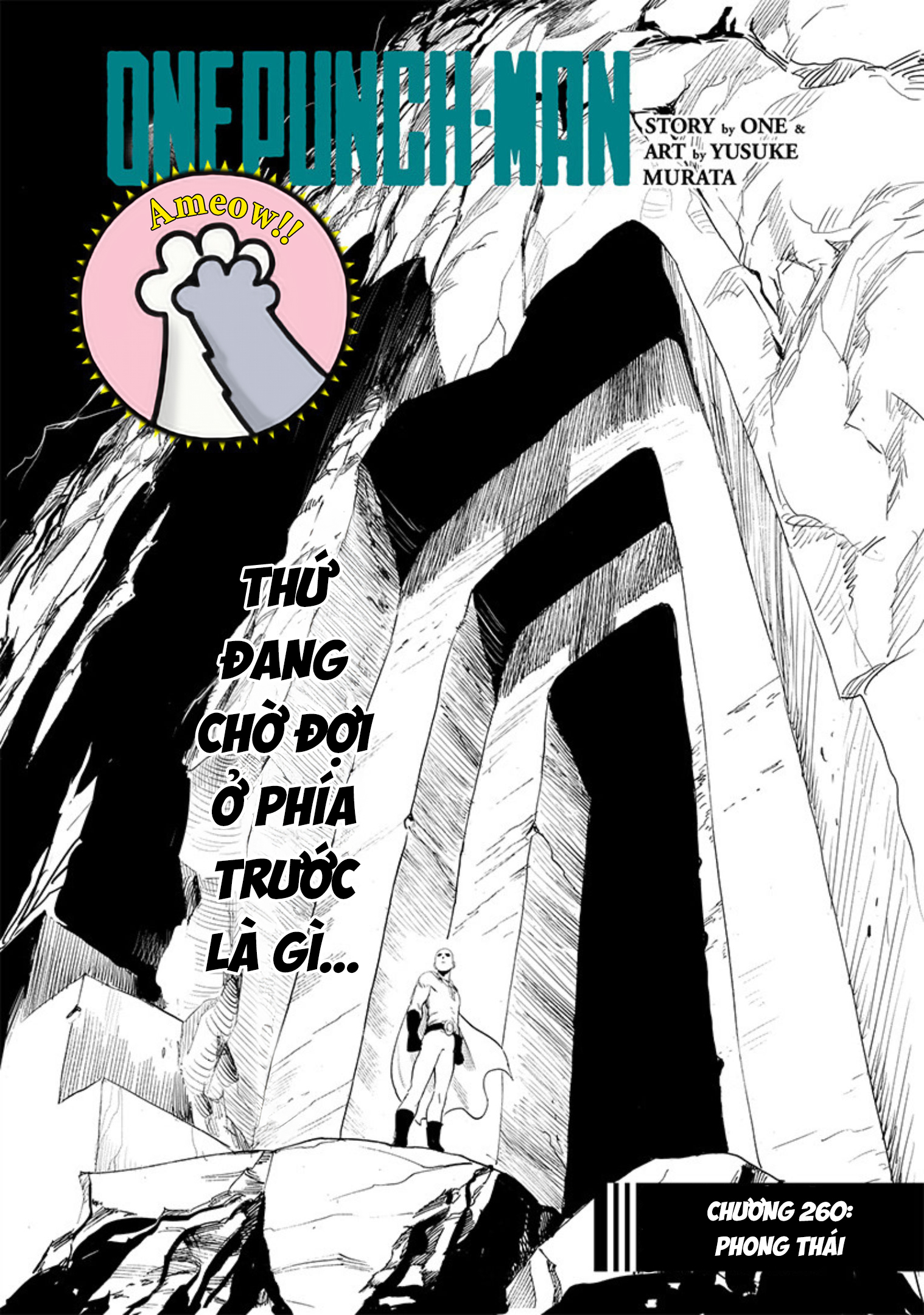 Onepunch Man Chapter 260 - 3