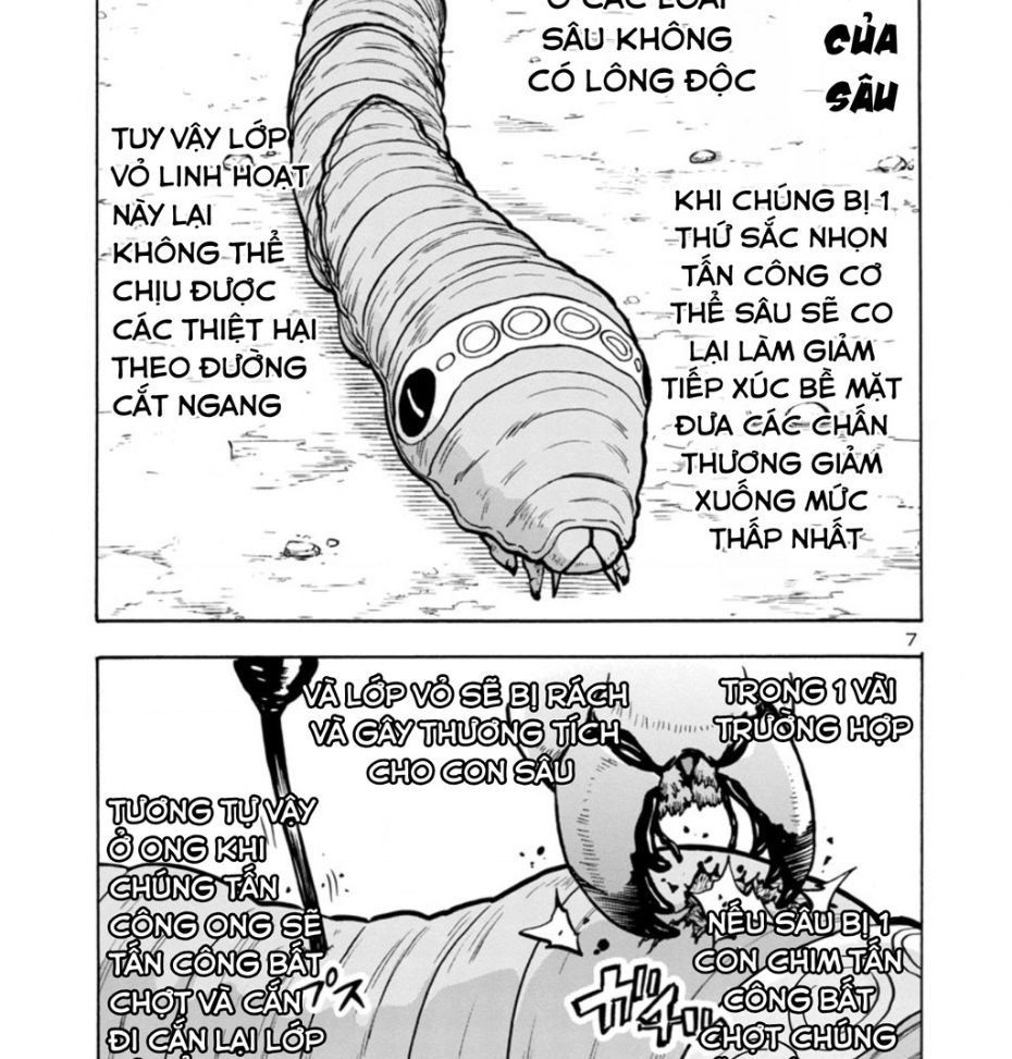 Siêu Đảo Côn Trùng Chapter 35.5 - 8