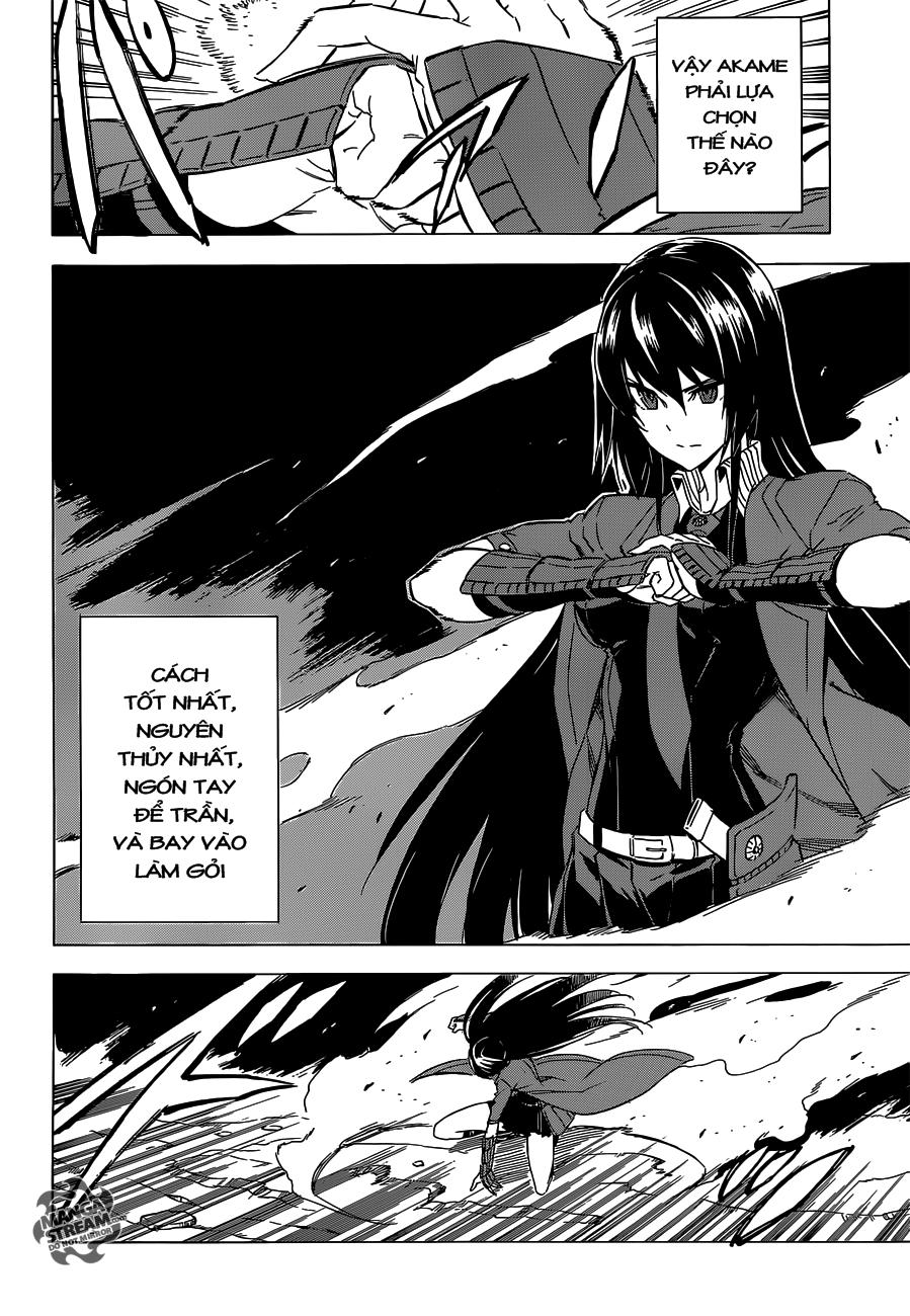 Akame Ga Kiru Chapter 59 - 13