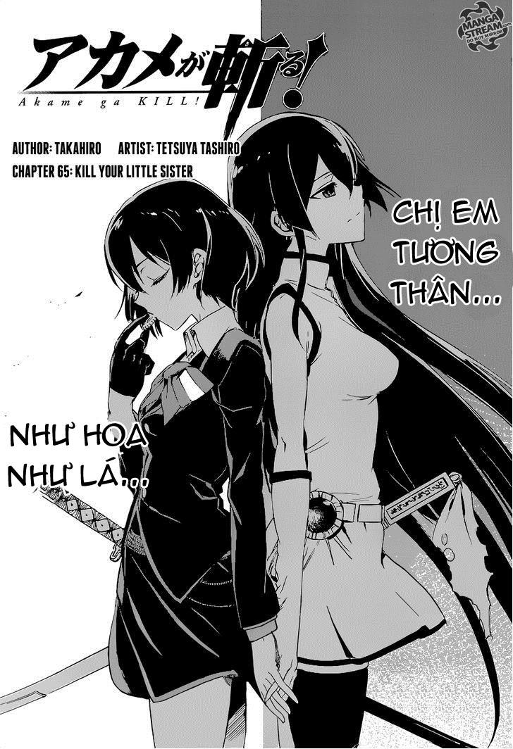 Akame Ga Kiru Chapter 65 - 8