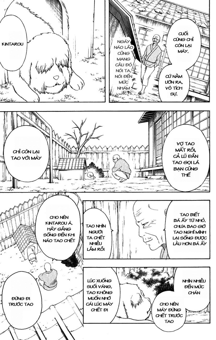 Gintama Chapter 208 - 17