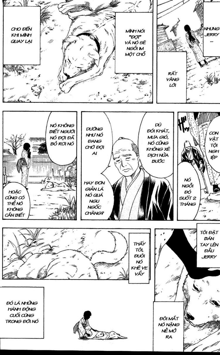 Gintama Chapter 237 - 14